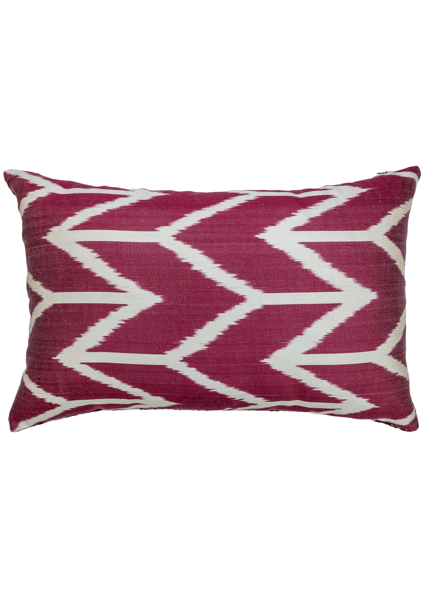 Salvia Dekoratif Çift Taraflı Kırlent 60x40 cm