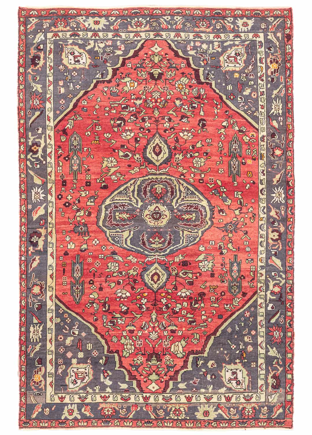 Piravi Çiçek Desenli El Dokuma Halı 217x334 cm